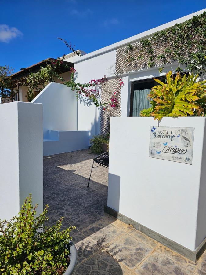 Apartmán Casa Mirlo Nazaret Exteriér fotografie